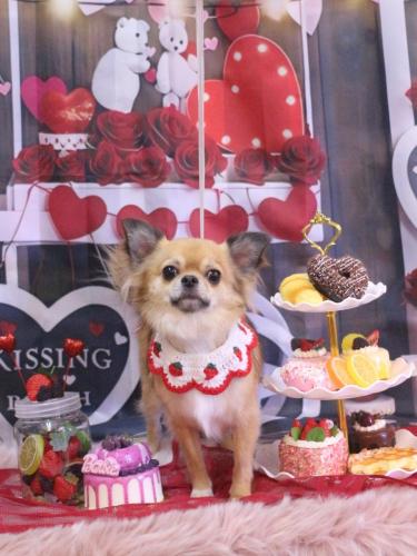 20250208れおくん